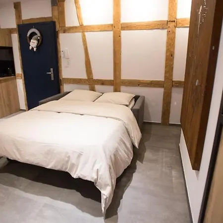 L'incontournable De La Zone Pietonne *