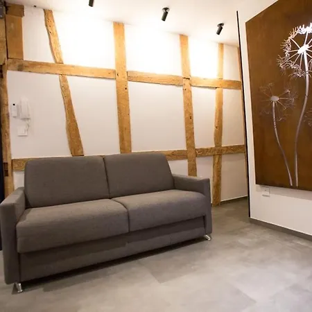 L'incontournable De La Zone Pietonne Saverne